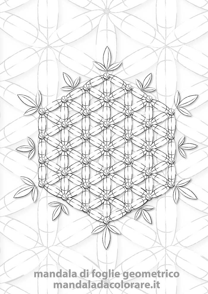 esempio di mandala di foglie geometrico