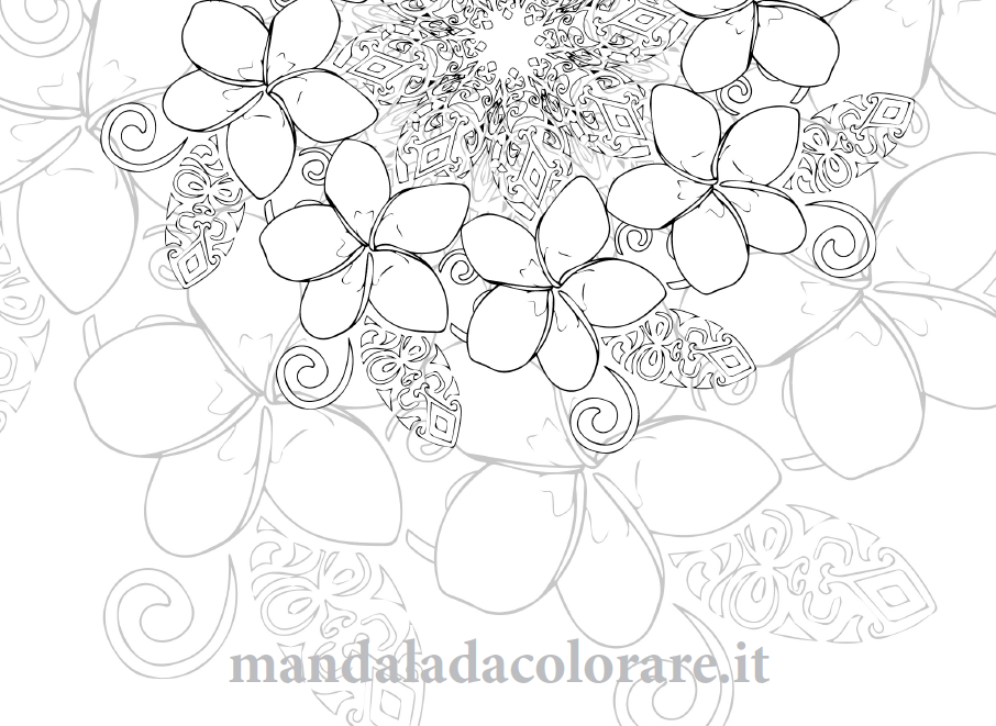 mandala da colorare bali frangipane